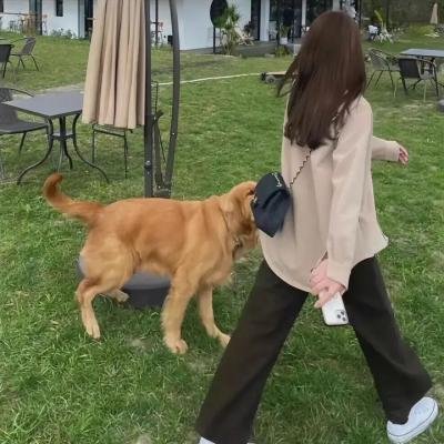 可爱的中国2019